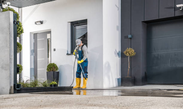 Best Building Exterior Washing  in Coloma, MI