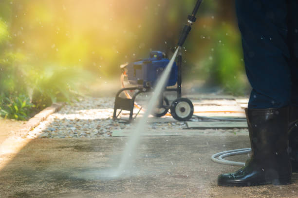 Best Gutter Cleaning  in Coloma, MI